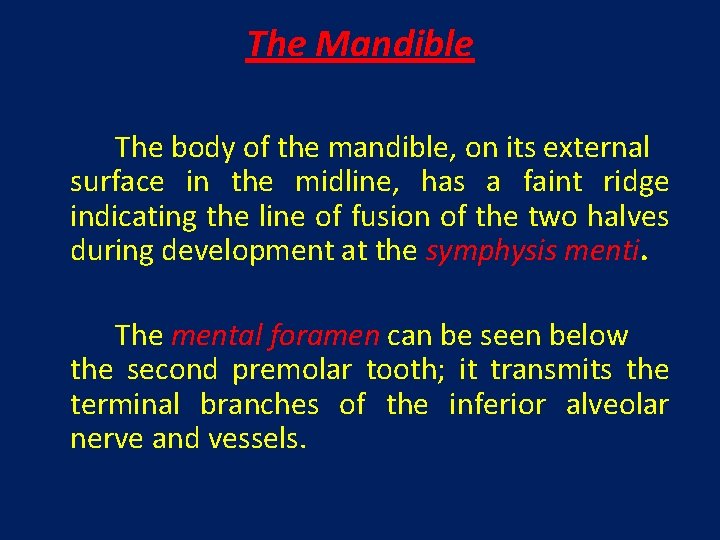 The Mandible The body of the mandible, on its external surface in the midline,