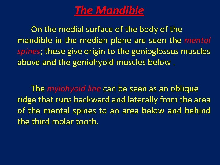 The Mandible On the medial surface of the body of the mandible in the