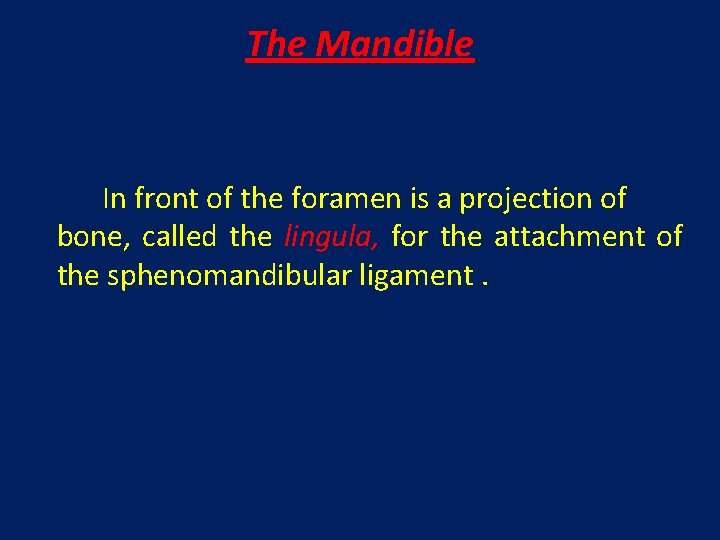 The Mandible In front of the foramen is a projection of bone, called the