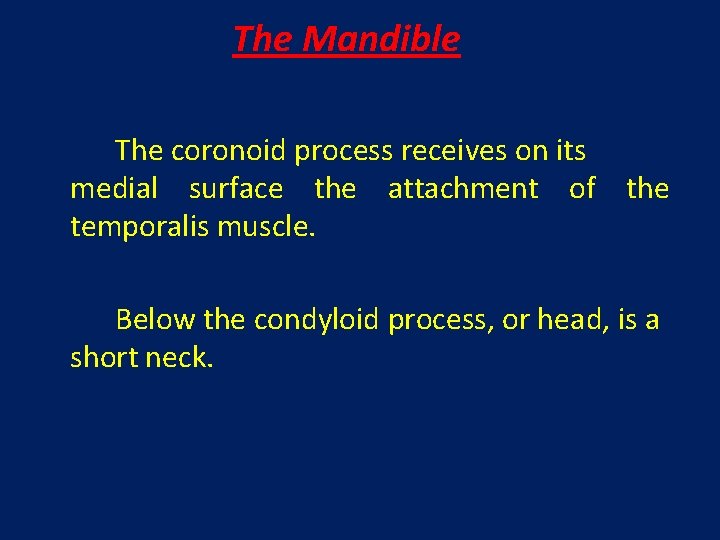 The Mandible The coronoid process receives on its medial surface the attachment of the