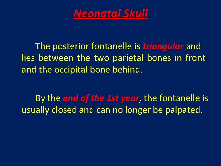 Neonatal Skull The posterior fontanelle is triangular and lies between the two parietal bones