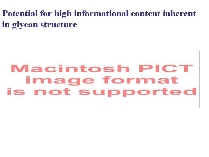 Potential for high informational content inherent in glycan structure 