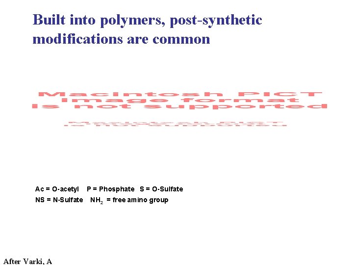 Built into polymers, post-synthetic modifications are common Ac = O-acetyl NS = N-Sulfate After