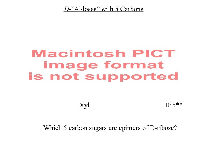 D-”Aldoses” with 5 Carbons Xyl Rib** Which 5 carbon sugars are epimers of D-ribose?