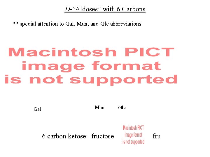 D-”Aldoses” with 6 Carbons ** special attention to Gal, Man, and Glc abbreviations Gal