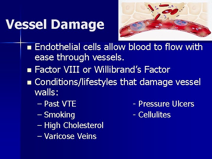 Vessel Damage n n n Endothelial cells allow blood to flow with ease through