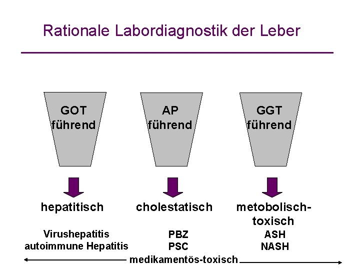 Rationale Labordiagnostik der Leber GOT führend hepatitisch Virushepatitis autoimmune Hepatitis AP führend cholestatisch GGT