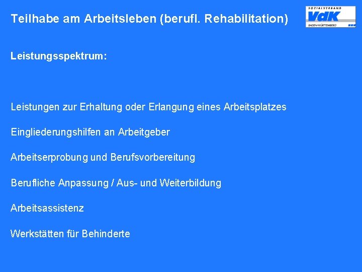 Teilhabe am Arbeitsleben (berufl. Rehabilitation) Leistungsspektrum: Leistungen zur Erhaltung oder Erlangung eines Arbeitsplatzes Eingliederungshilfen