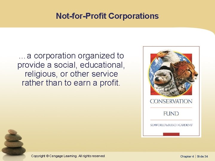 Not-for-Profit Corporations …a corporation organized to provide a social, educational, religious, or other service