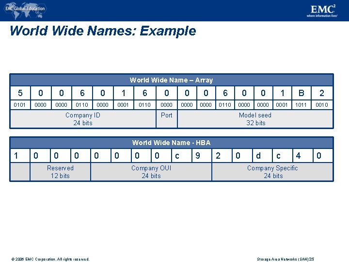 World Wide Names: Example World Wide Name – Array 5 0 0 6 0