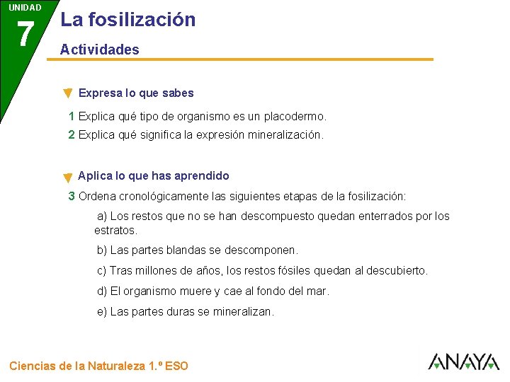 UNIDAD 7 3 La fosilización Actividades Expresa lo que sabes 1 Explica qué tipo