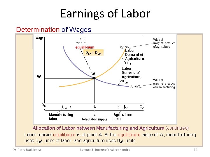 Earnings of Labor Determination of Wages Labor market equilibrium DLA = DLM A W