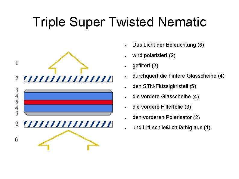 Triple Super Twisted Nematic ● Das Licht der Beleuchtung (6) ● wird polarisiert (2)