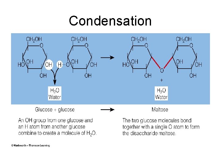 Condensation 