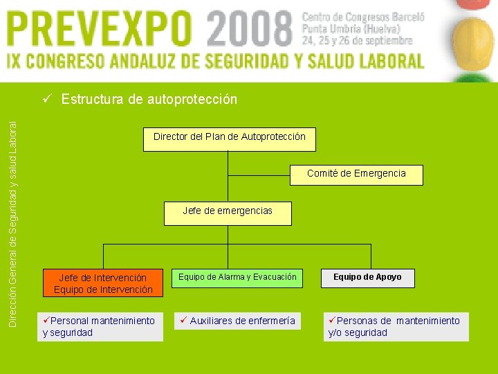 Dirección General de Seguridad y salud Laboral ü Estructura de autoprotección Director del Plan