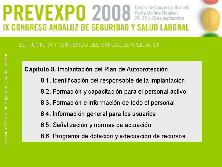 Dirección General de Seguridad y salud Laboral ESTRUCTURA Y CONTENIDO DEL MANUAL DE APLICACIÓN