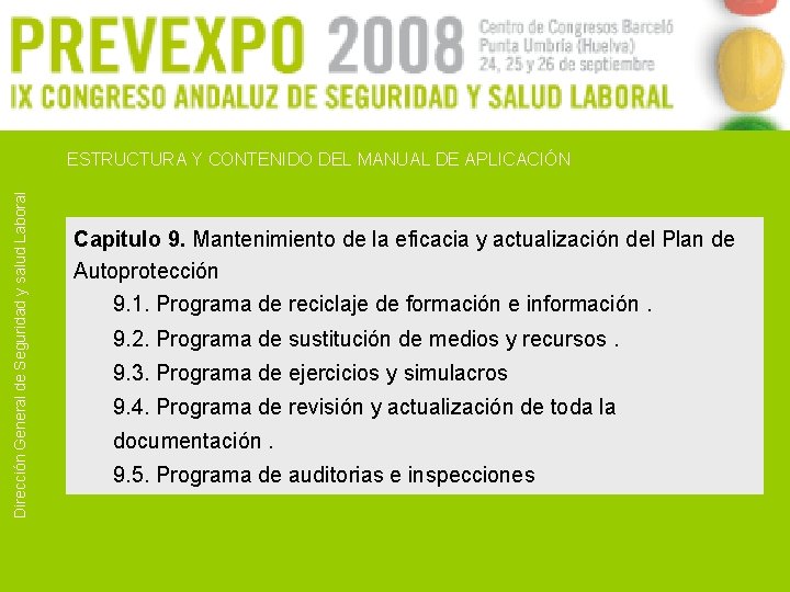 Dirección General de Seguridad y salud Laboral ESTRUCTURA Y CONTENIDO DEL MANUAL DE APLICACIÓN