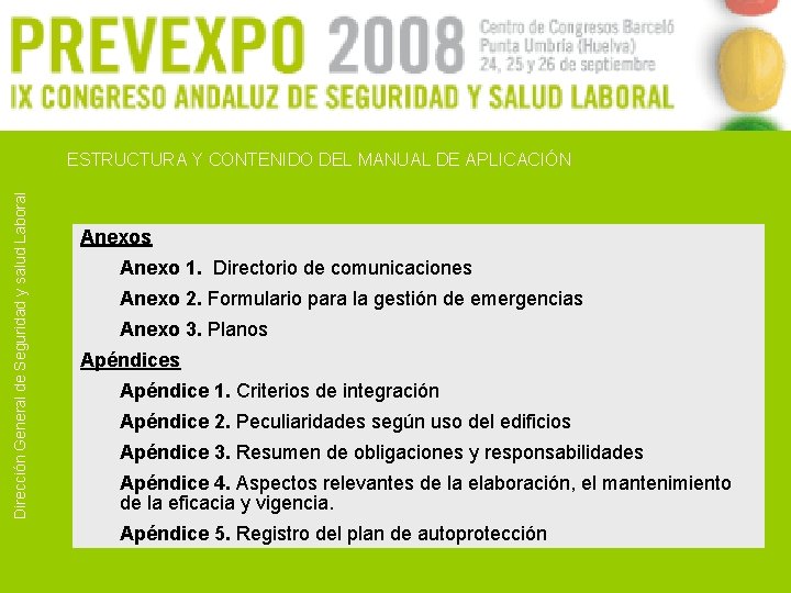 Dirección General de Seguridad y salud Laboral ESTRUCTURA Y CONTENIDO DEL MANUAL DE APLICACIÓN