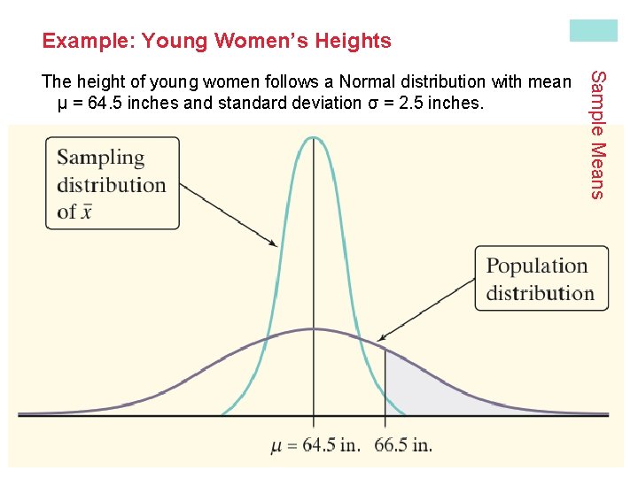 Example: Young Women’s Heights Find the probability that a randomly selected young woman is