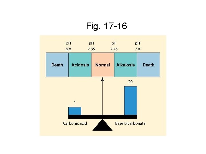 Fig. 17 -16 