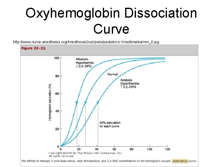 Oxyhemoglobin Dissociation Curve http: //www. nurse-anesthesia. org/Anesthesia. Quiz/peds/pediatrics-1/multimedia/mm_0. jpg 