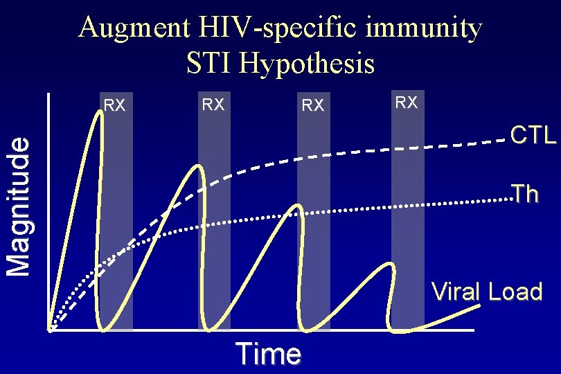 Augment HIV-specific immunity STI Hypothesis RX RX RX CTL Magnitude RX Th Viral Load