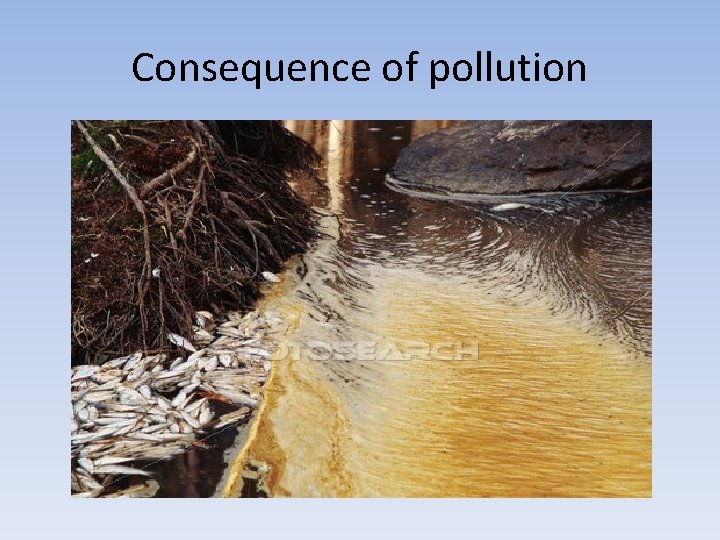 Consequence of pollution 