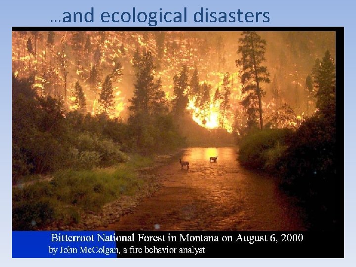 …and ecological disasters 