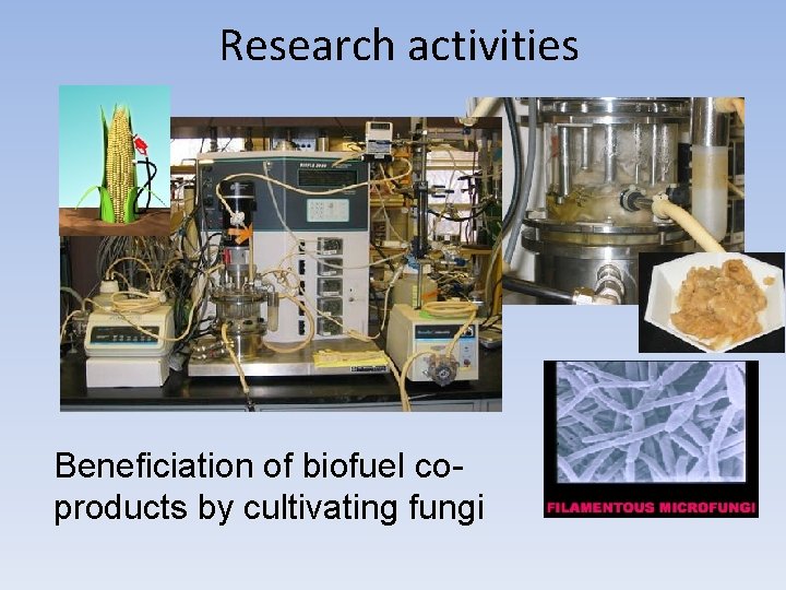 Research activities Beneficiation of biofuel coproducts by cultivating fungi 