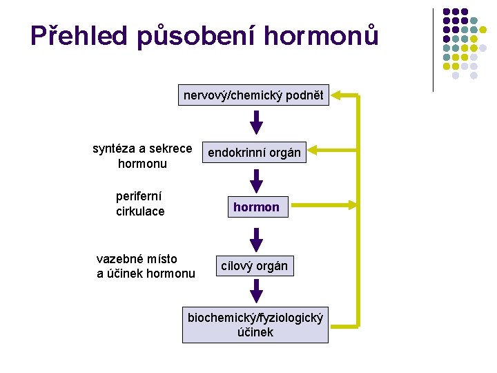 Přehled působení hormonů nervový/chemický podnět syntéza a sekrece hormonu periferní cirkulace endokrinní orgán hormon