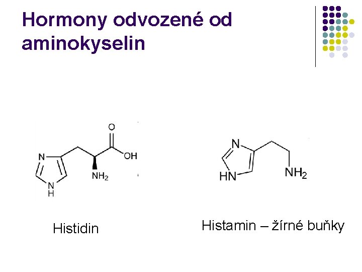Hormony odvozené od aminokyselin Histidin Histamin – žírné buňky 