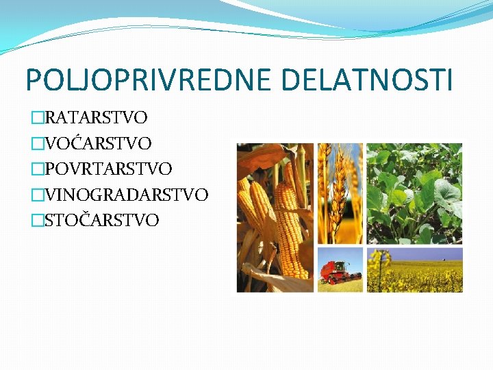 POLJOPRIVREDNE DELATNOSTI �RATARSTVO �VOĆARSTVO �POVRTARSTVO �VINOGRADARSTVO �STOČARSTVO 