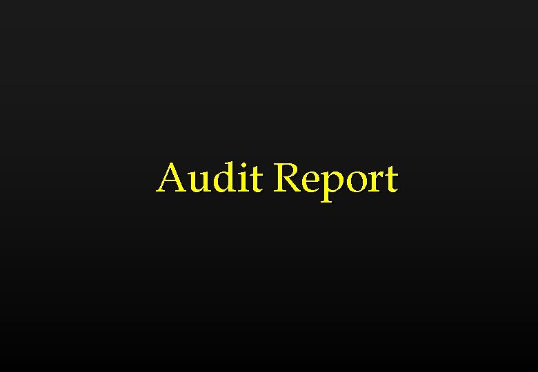 Audit Report 