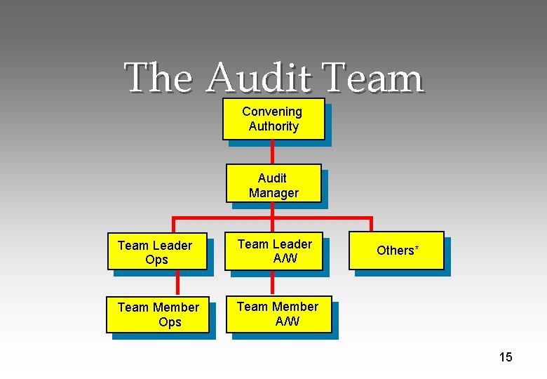The Audit Team Convening Authority Audit Manager Team Leader Ops Team Leader A/W Team