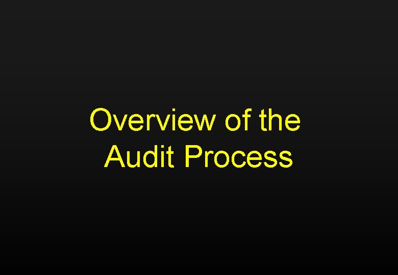 Overview of the Audit Process 