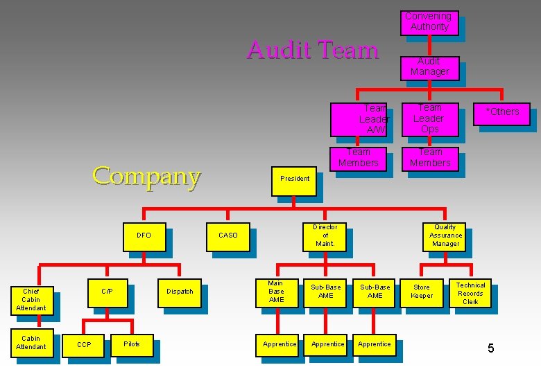 Convening Authority Audit Team Leader A/W Team Members Company DFO C/P Chief Cabin Attendant