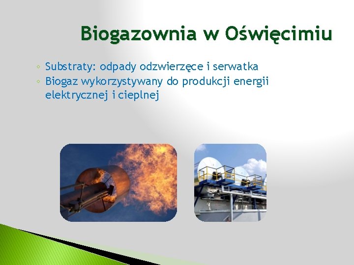 Biogazownia w Oświęcimiu ◦ Substraty: odpady odzwierzęce i serwatka ◦ Biogaz wykorzystywany do produkcji