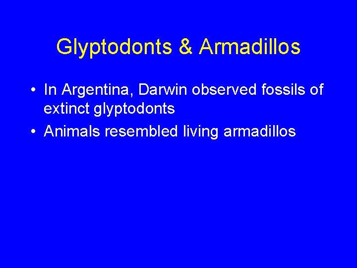 Glyptodonts & Armadillos • In Argentina, Darwin observed fossils of extinct glyptodonts • Animals