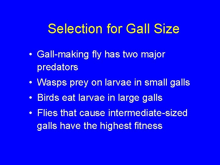 Selection for Gall Size • Gall-making fly has two major predators • Wasps prey