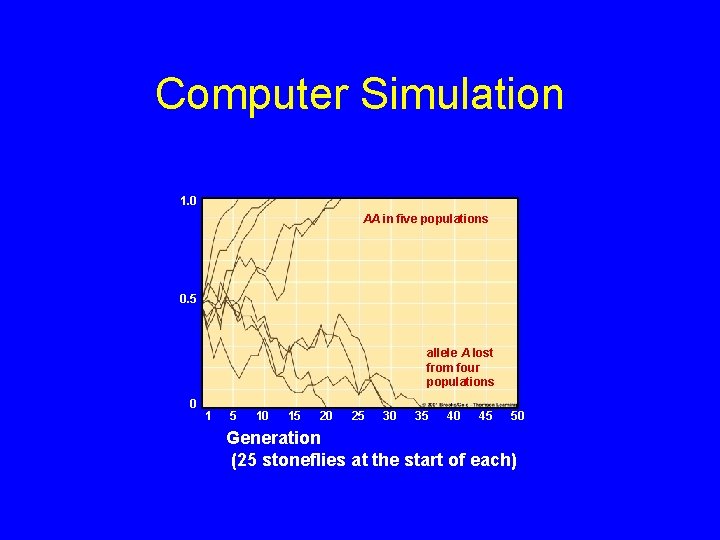 Computer Simulation 1. 0 AA in five populations 0. 5 allele A lost from
