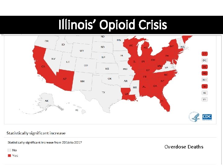 Illinois’ Opioid Crisis Overdose Deaths 