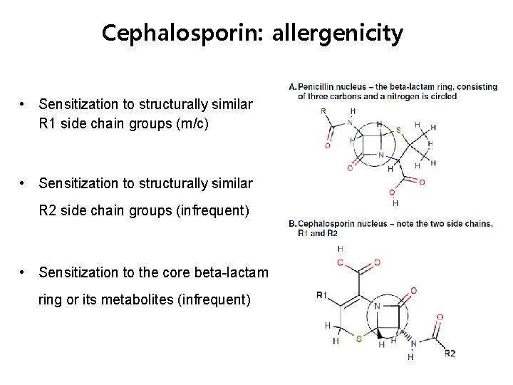 Cephalosporin: allergenicity • Sensitization to structurally similar R 1 side chain groups (m/c) •