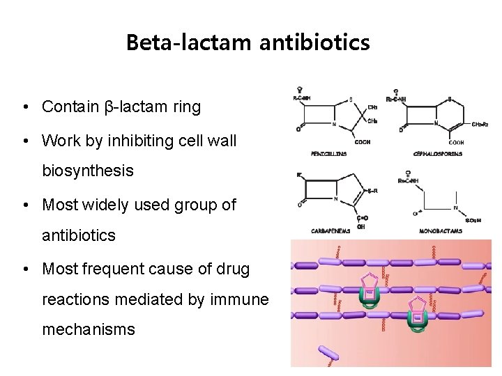Beta-lactam antibiotics • Contain β-lactam ring • Work by inhibiting cell wall biosynthesis •