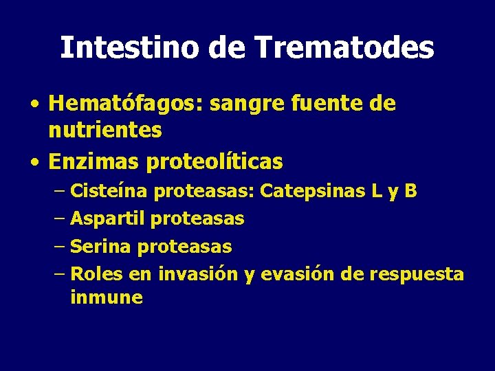 Intestino de Trematodes • Hematófagos: sangre fuente de nutrientes • Enzimas proteolíticas – Cisteína