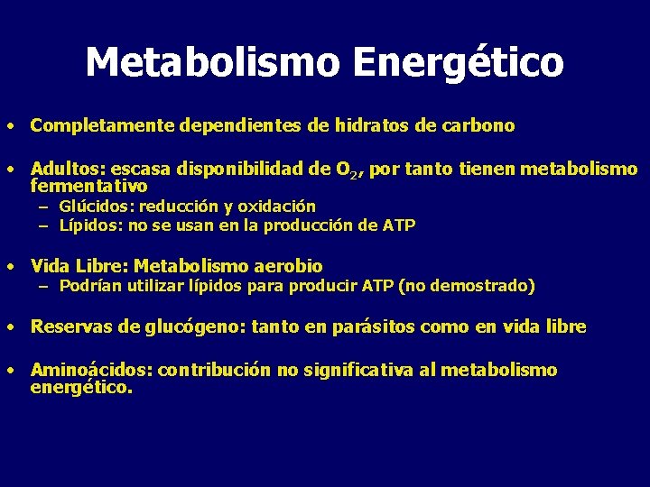 Metabolismo Energético • Completamente dependientes de hidratos de carbono • Adultos: escasa disponibilidad de