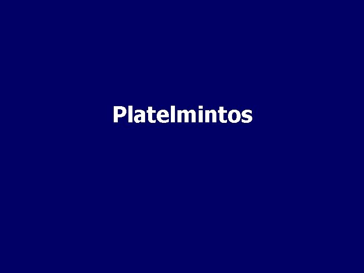 Platelmintos 