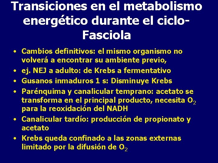 Transiciones en el metabolismo energético durante el ciclo. Fasciola • Cambios definitivos: el mismo