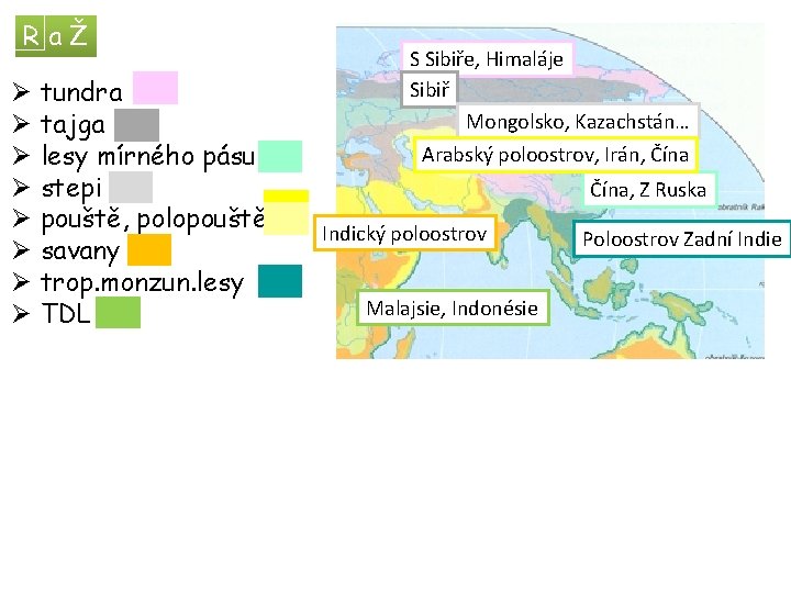 RaŽ Ø tundra Ø tajga Ø lesy mírného pásu Ø stepi Ø pouště, polopouště