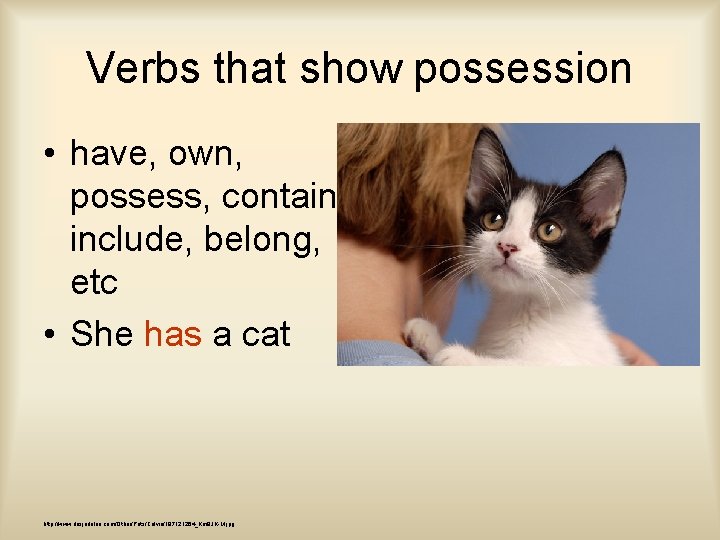 Verbs that show possession • have, own, possess, contain, include, belong, etc • She