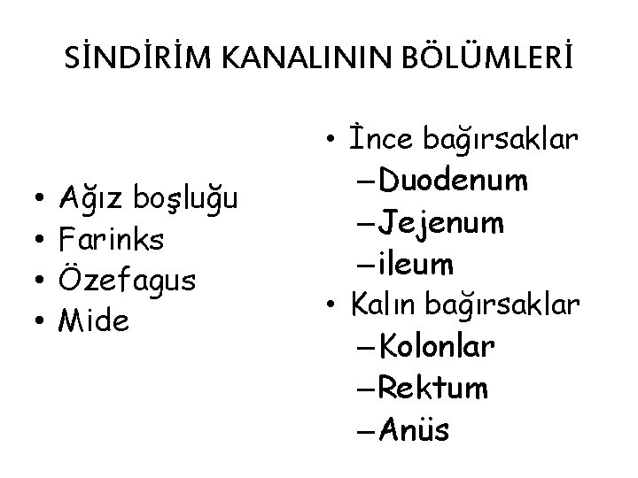 SİNDİRİM KANALININ BÖLÜMLERİ • • Ağız boşluğu Farinks Özefagus Mide • İnce bağırsaklar –